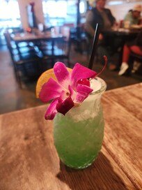 Tortugas mermaid water