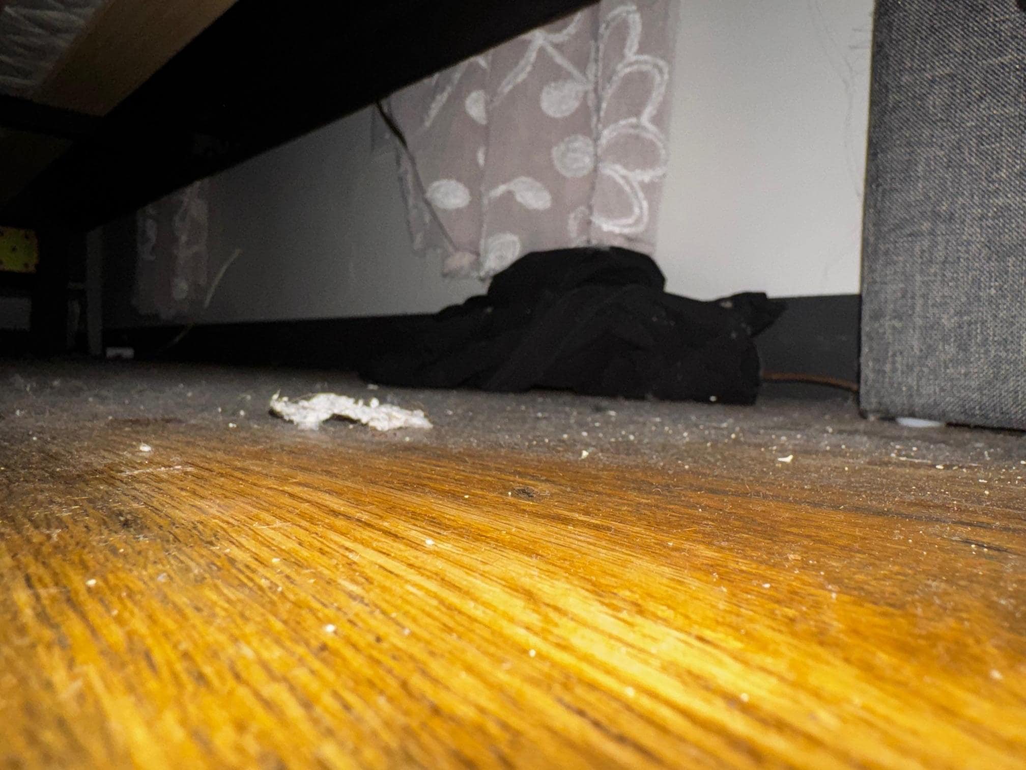Under the bed had not bee cleaned in quite some time as evidenced by the shirt that was also quite dusty.
