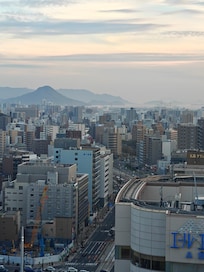 Sighted the mountain and sea beyond the city line.