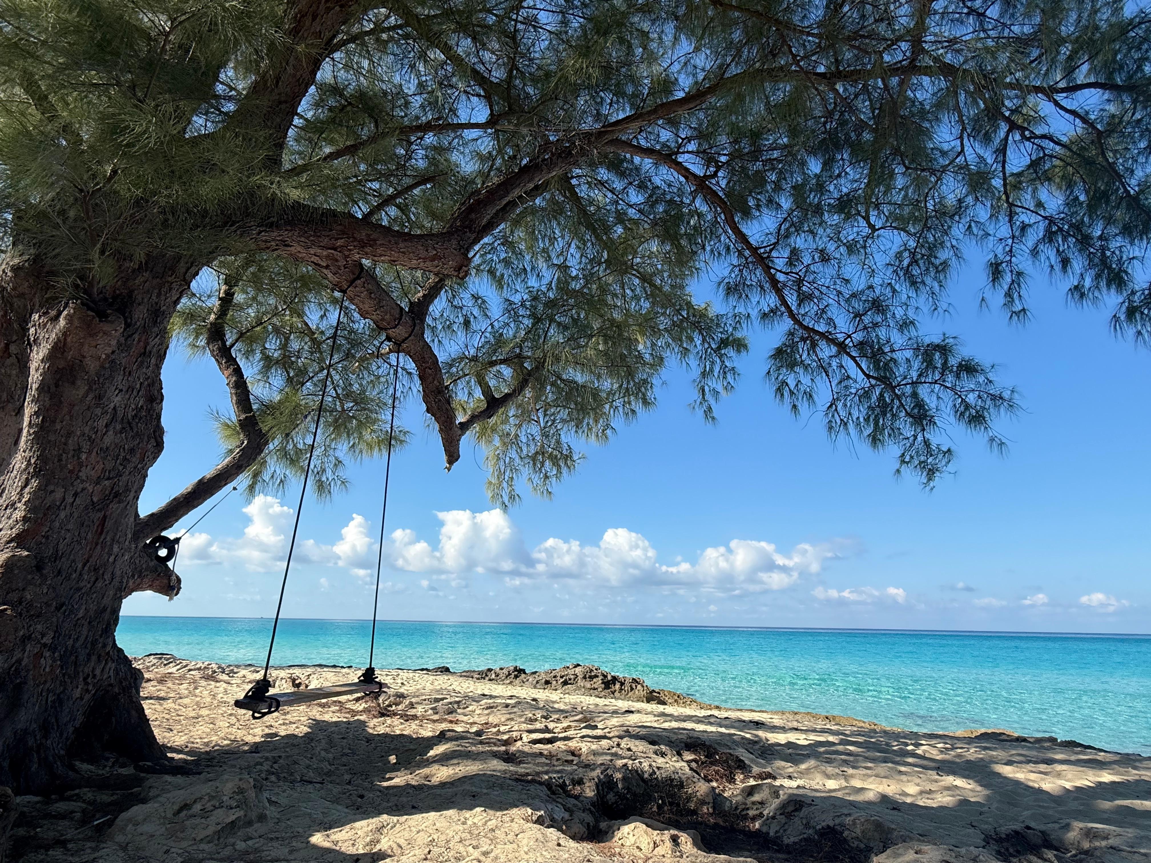 Beach right down the steps from the cottage