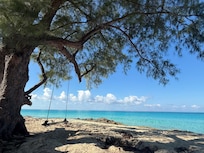 Beach right down the steps from the cottage