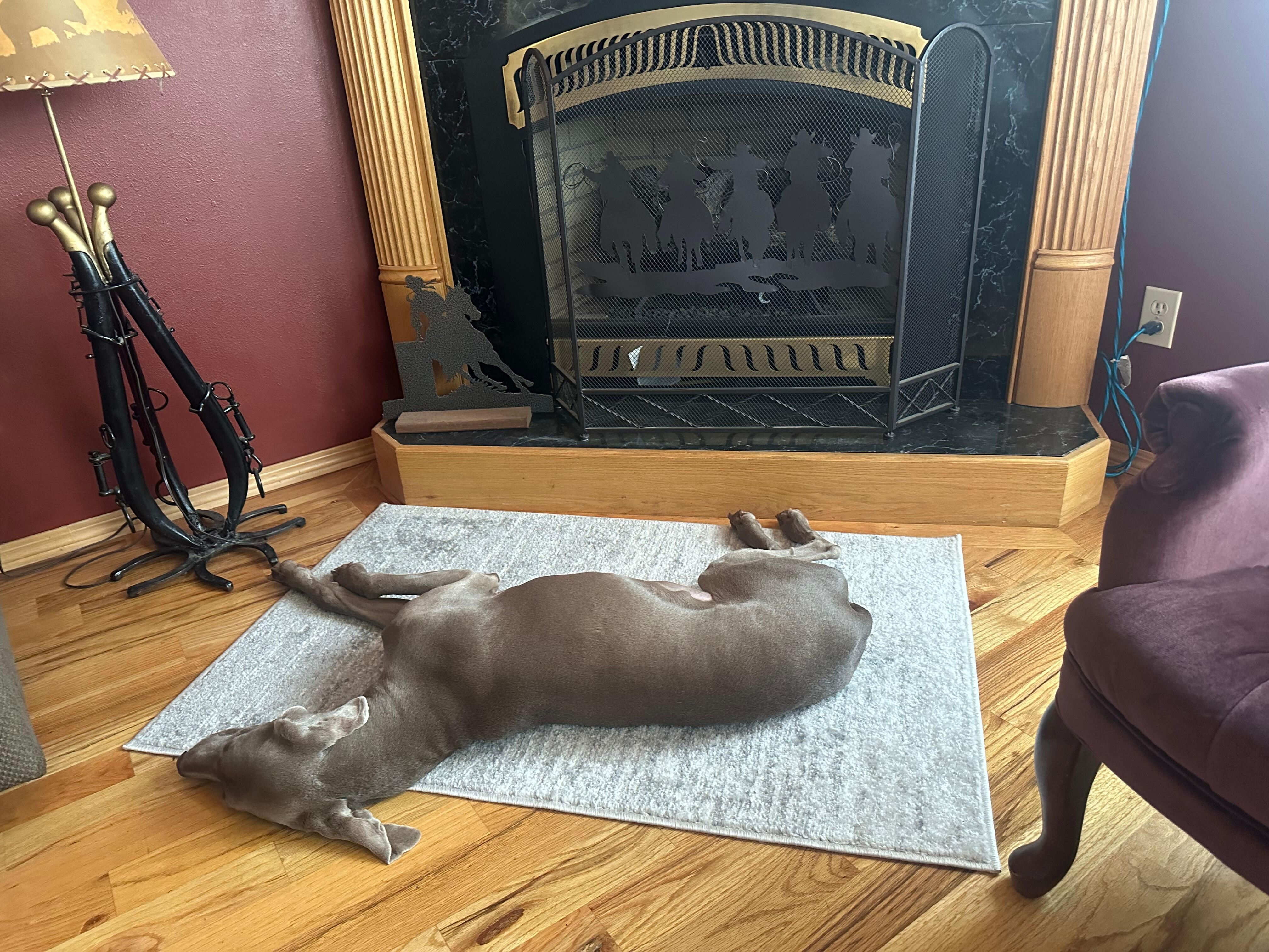 Ruff life