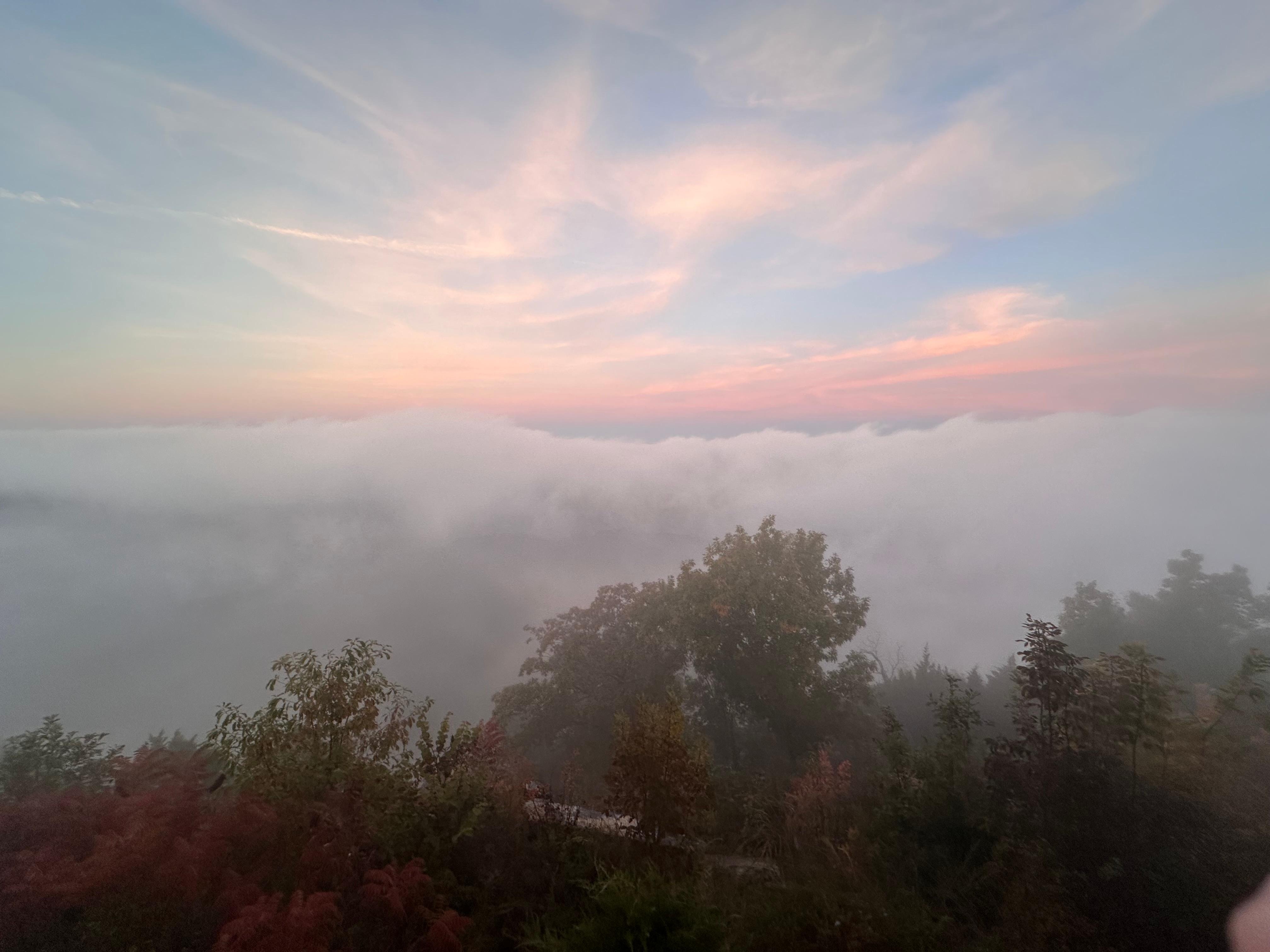 View from deck at sunrise