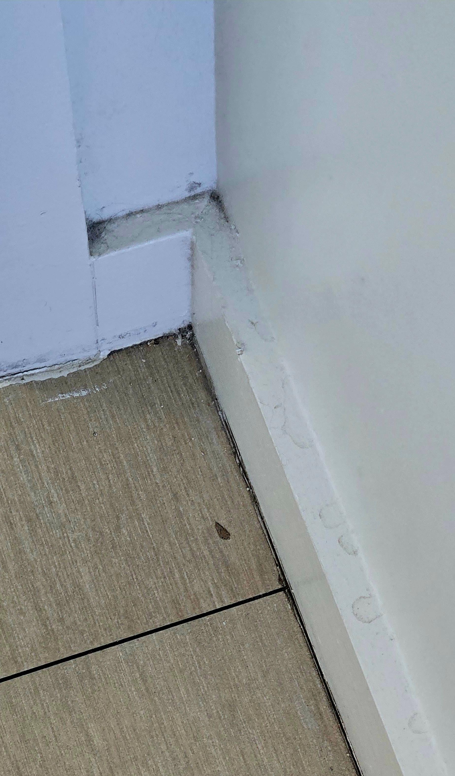 All areas of trim were dirty