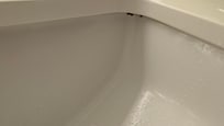 Black mold in the sink