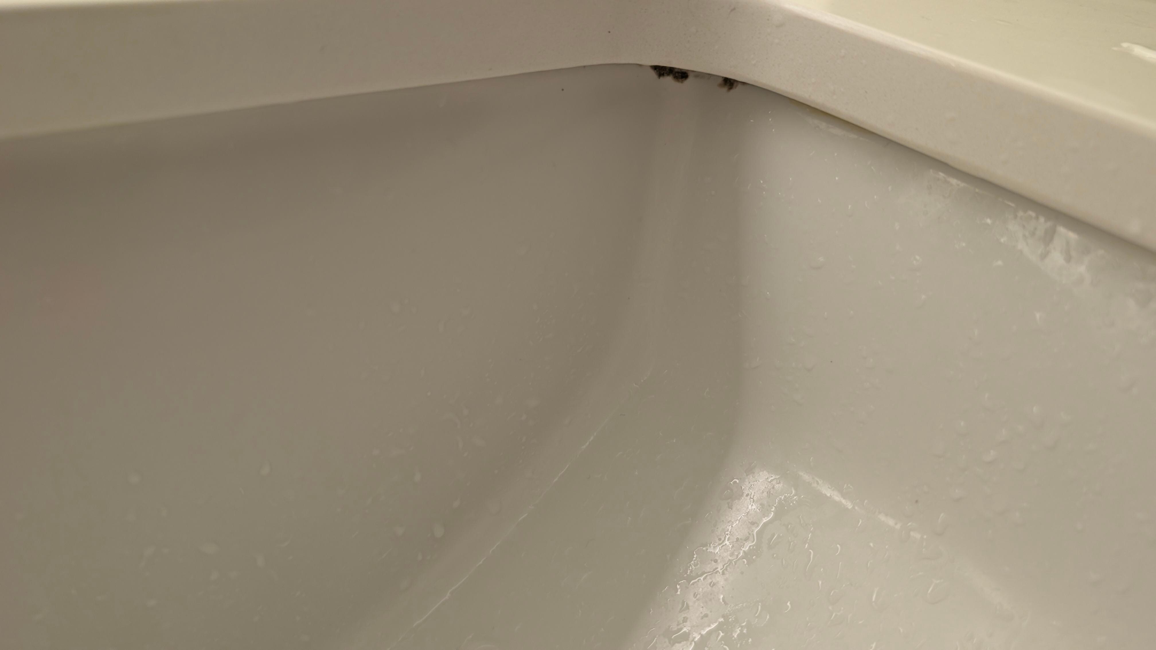 Black mold in the sink