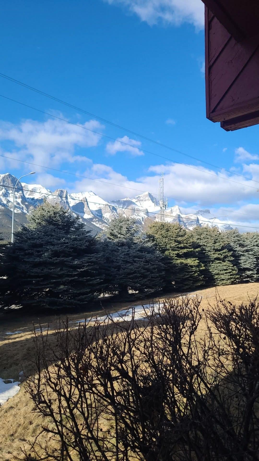 View from the living area