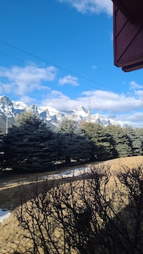 View from the living area