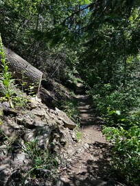 Pulaski Tunnel Trail