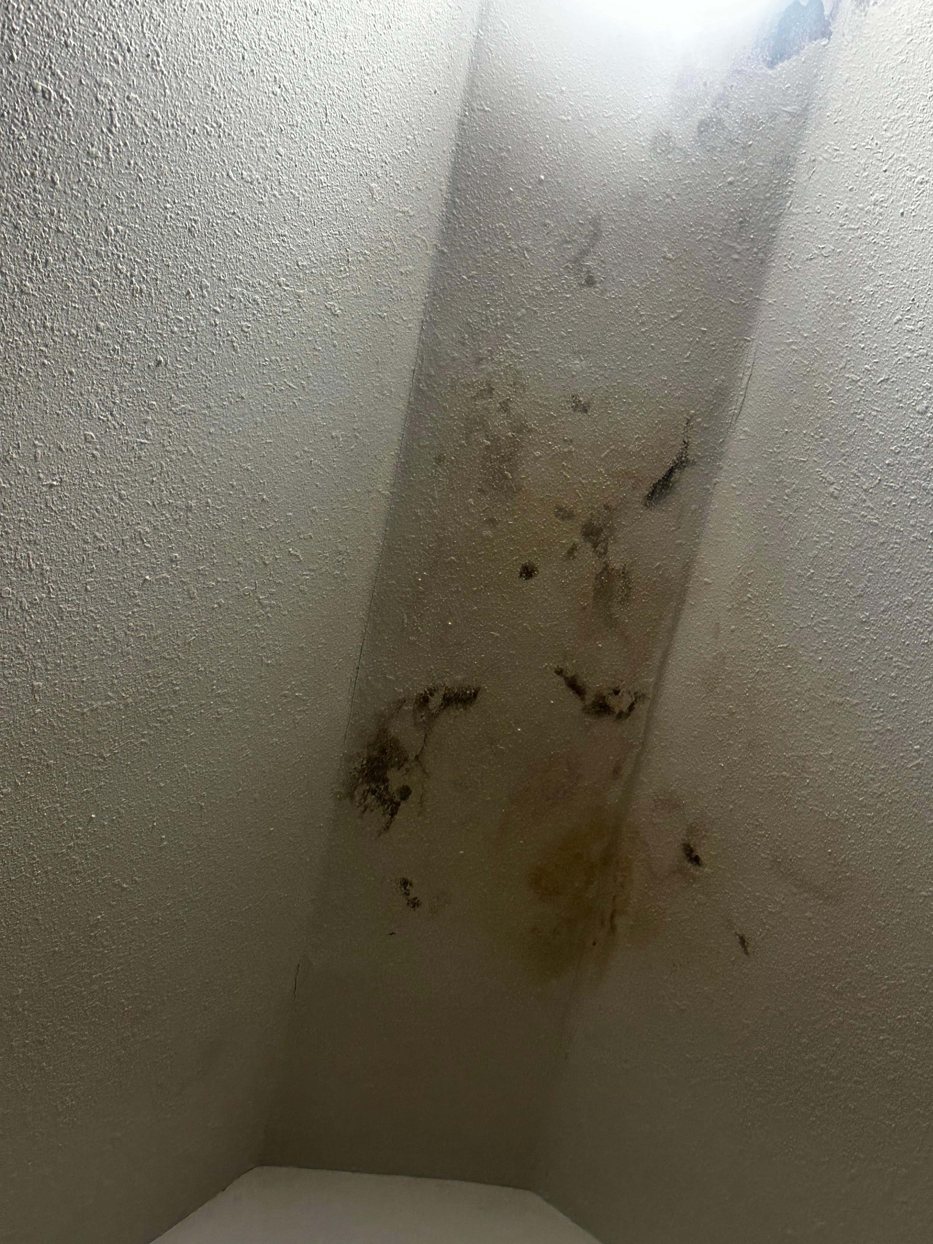 Mold in the closet ceiling.