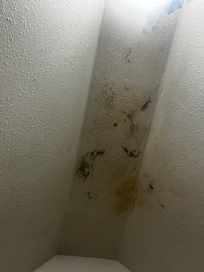 Mold in the closet ceiling.