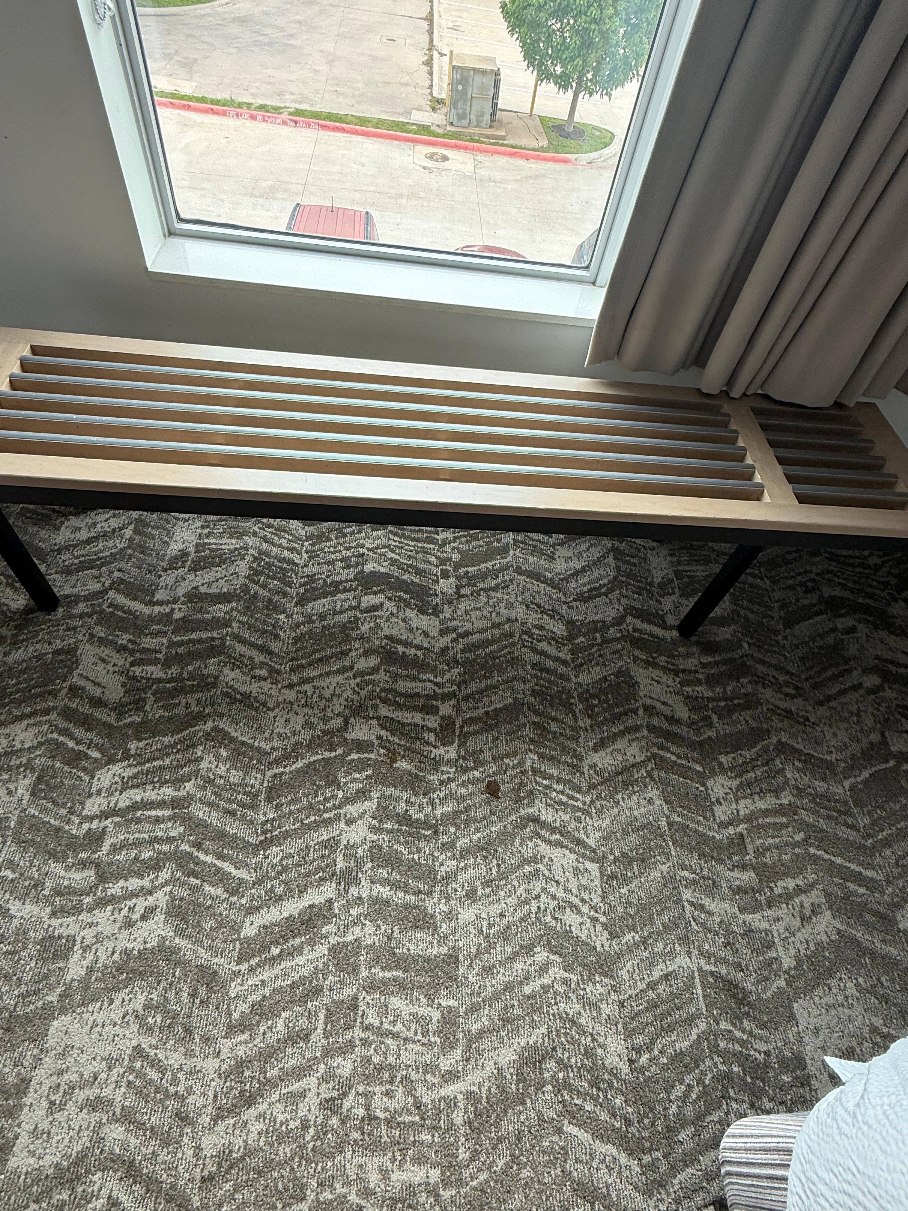 Questionable carpet stains