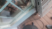 Back deck windows are covered in spider webs and debris