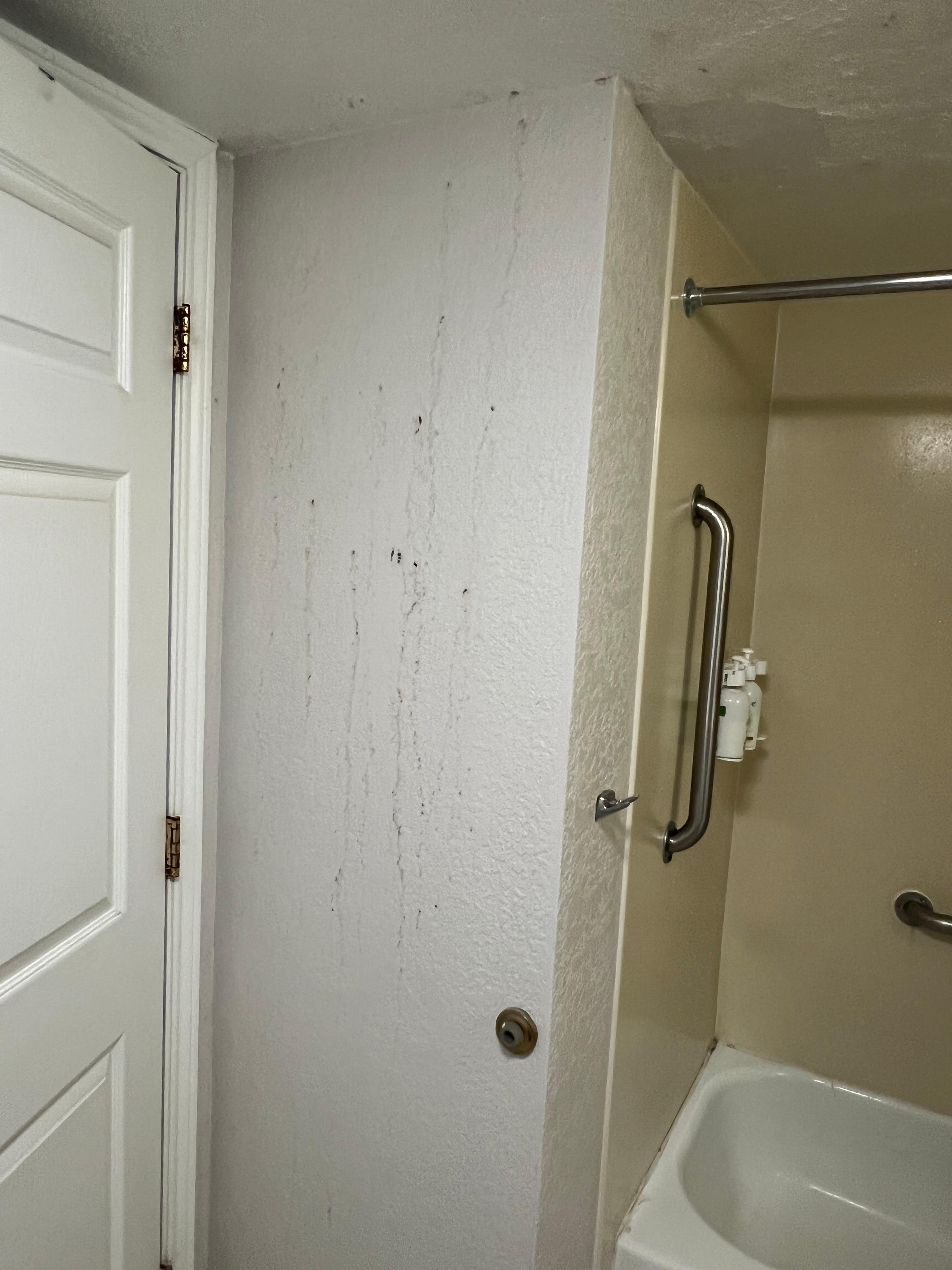 Urine in wall dried up 