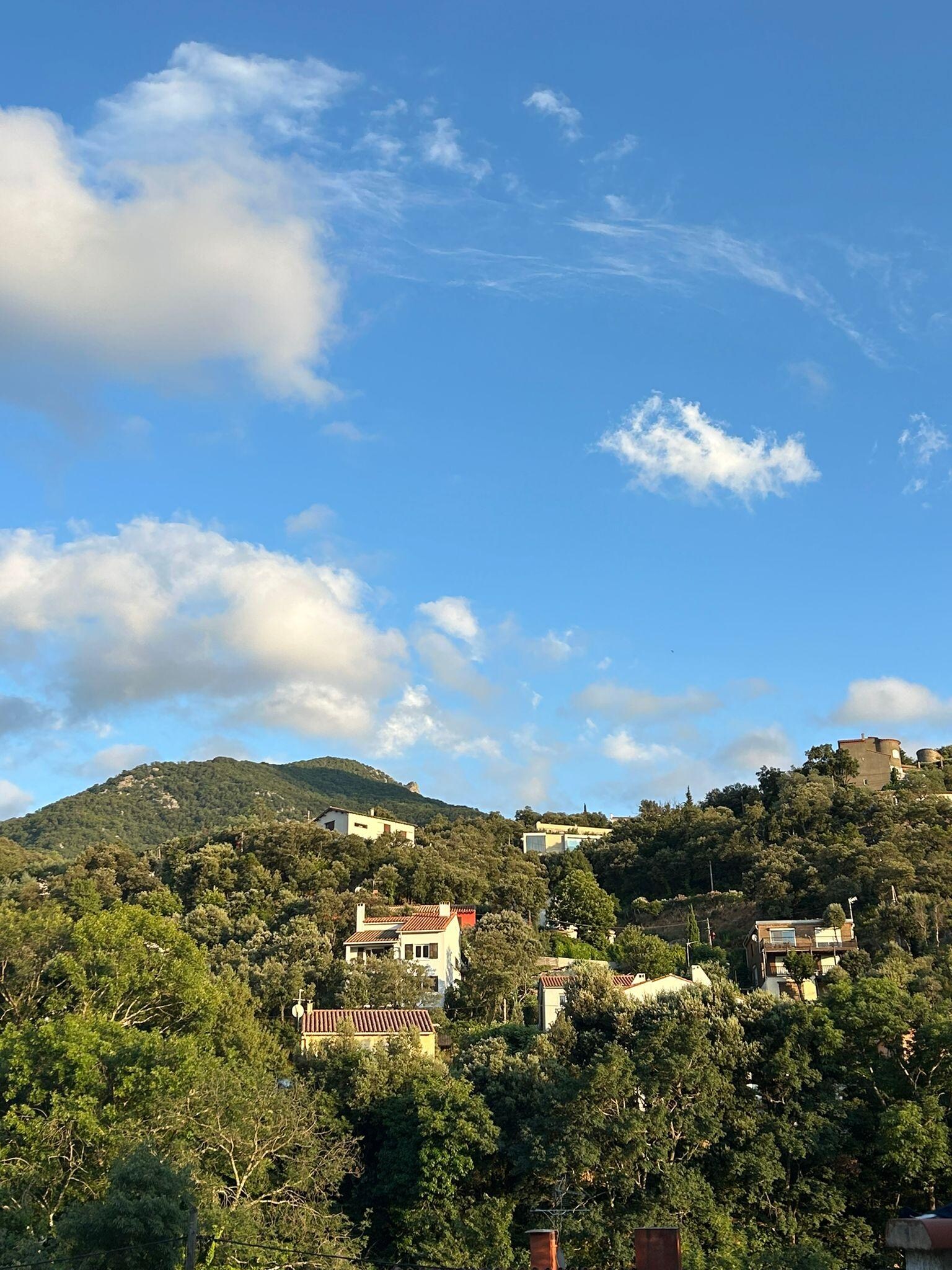 vue depuis la terrasse