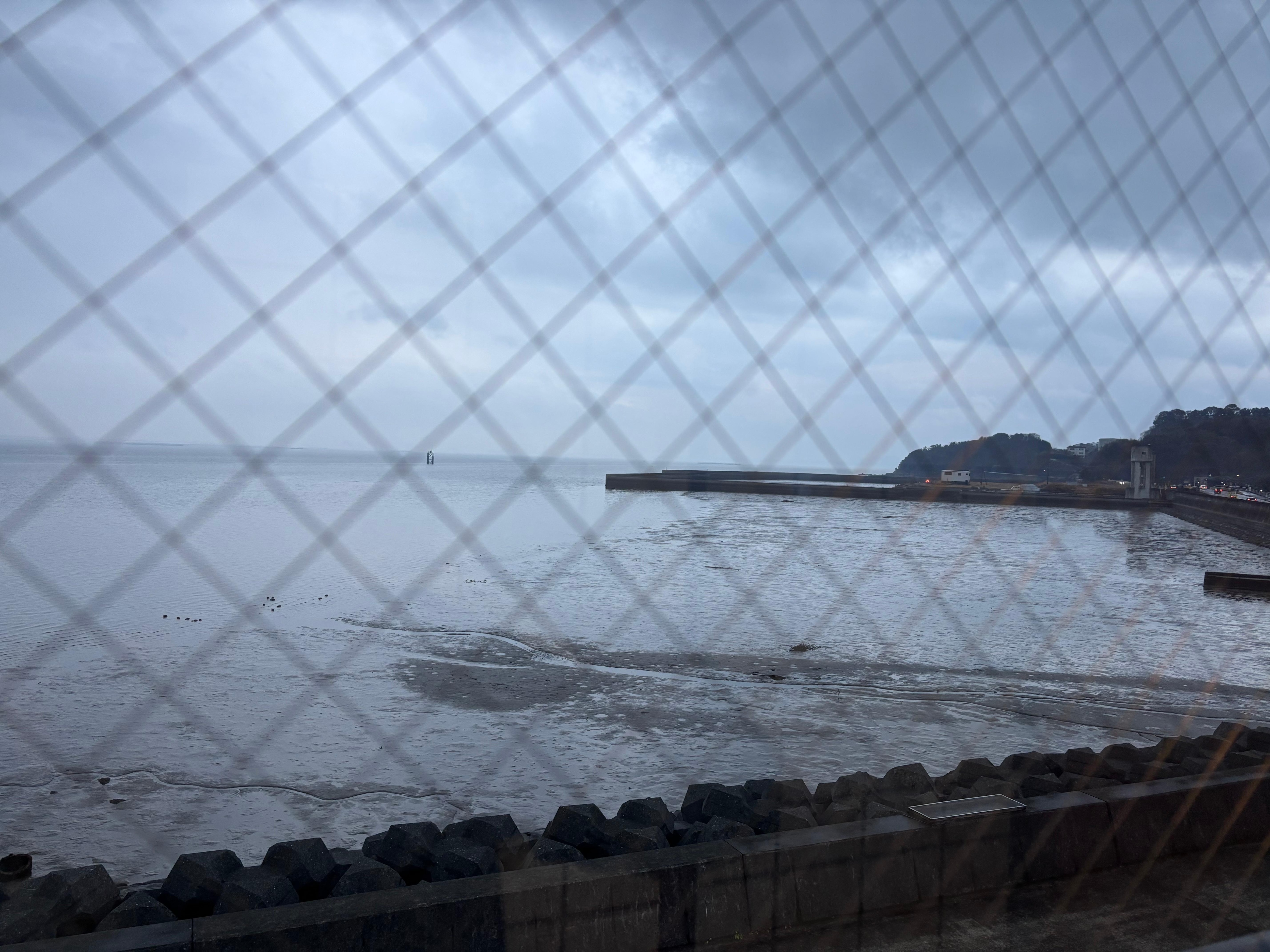 お部屋から海が見れます