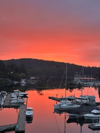 Incredible Sunsets