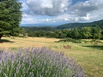 Wiew from the house