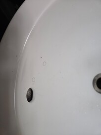 Pubic or beard hairs