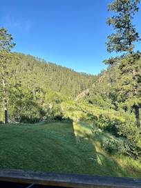 View from the main floor balcony