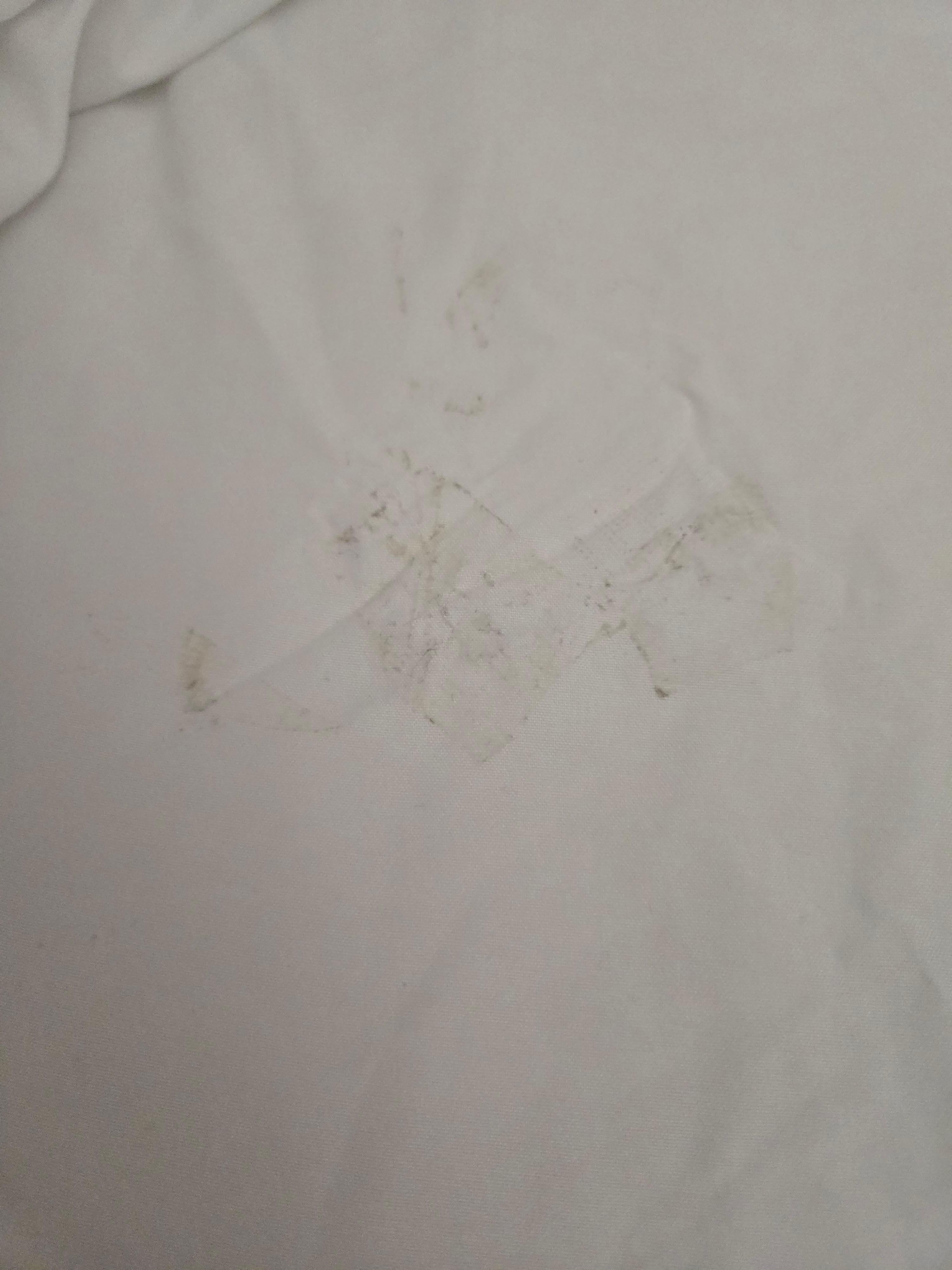 Picture of sticky filth on the sheets.