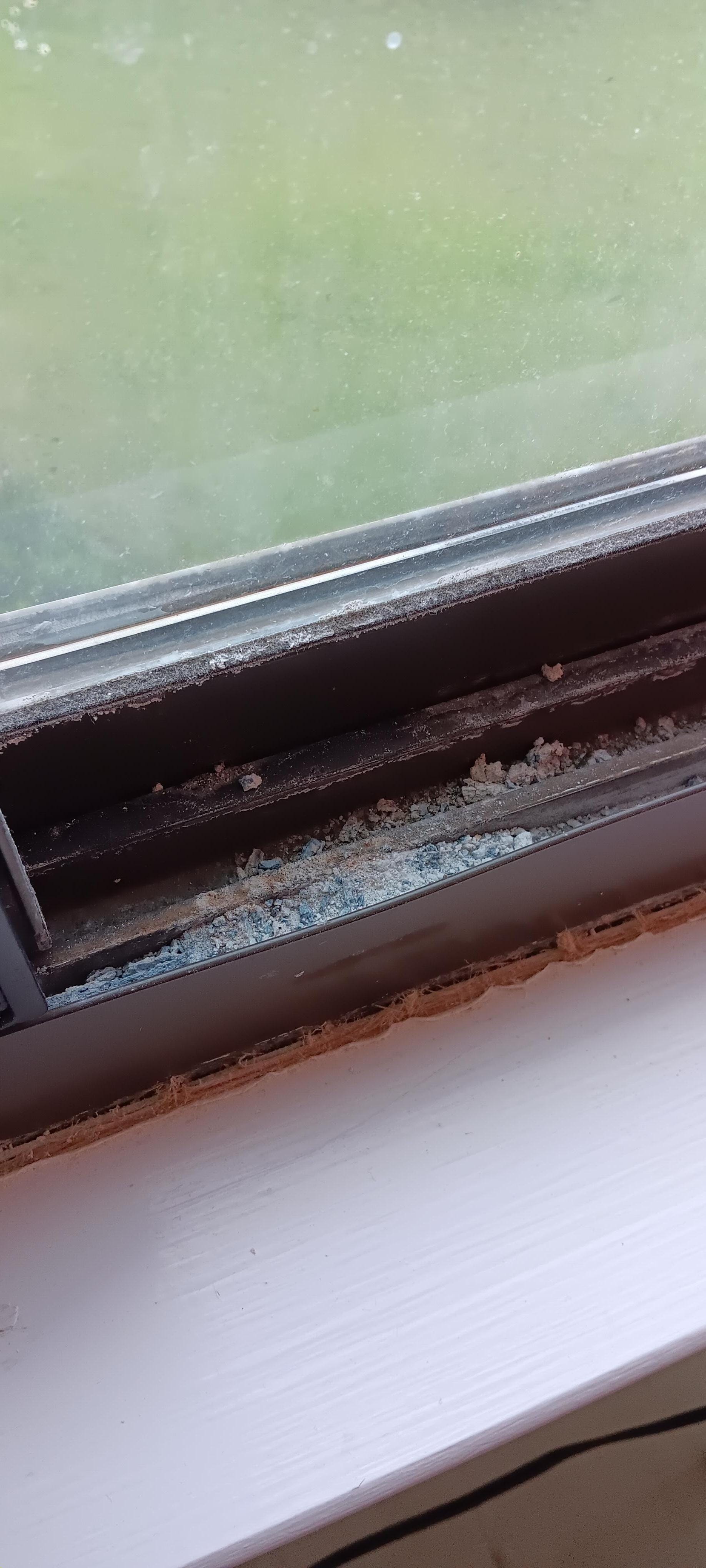 Bedroom windows full of debris and won't open