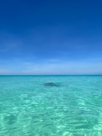 Ocean right outside your front door