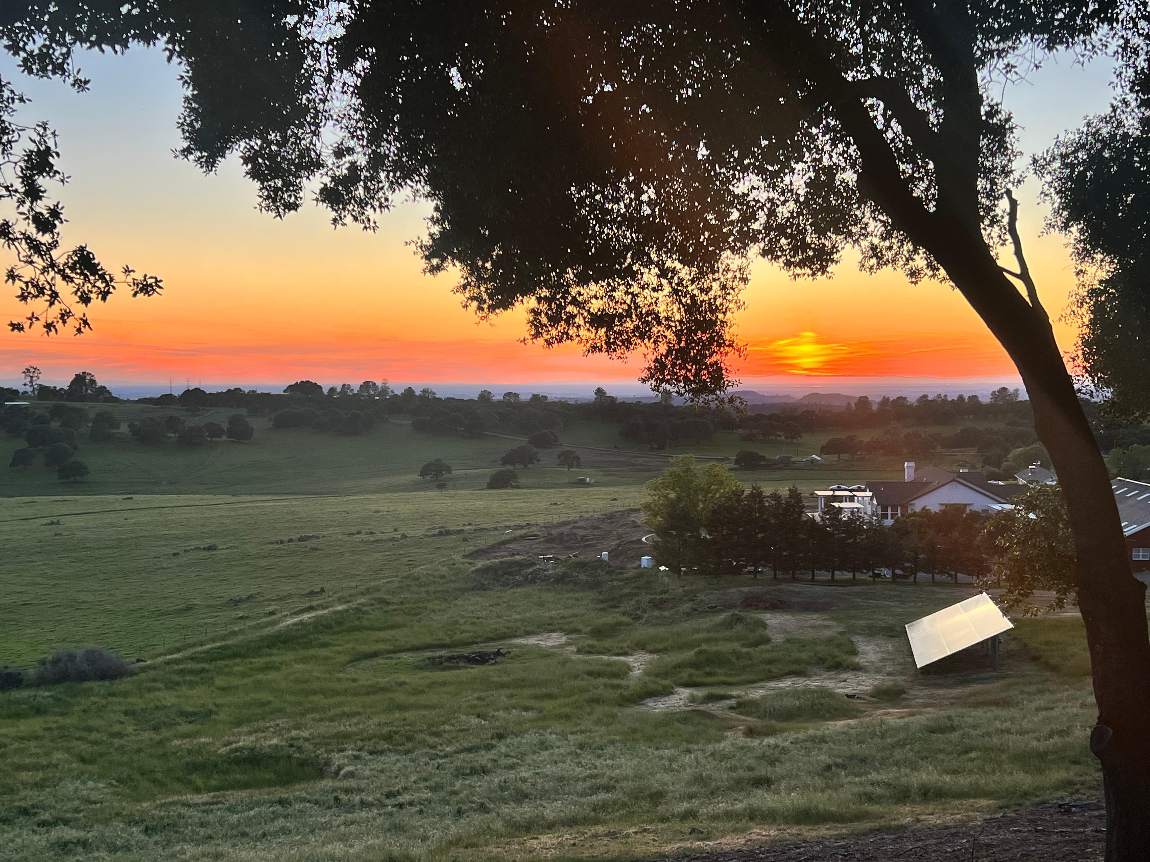 The colors were different each evening 