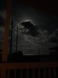 Shark in the clouds