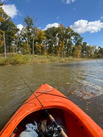 Kayak