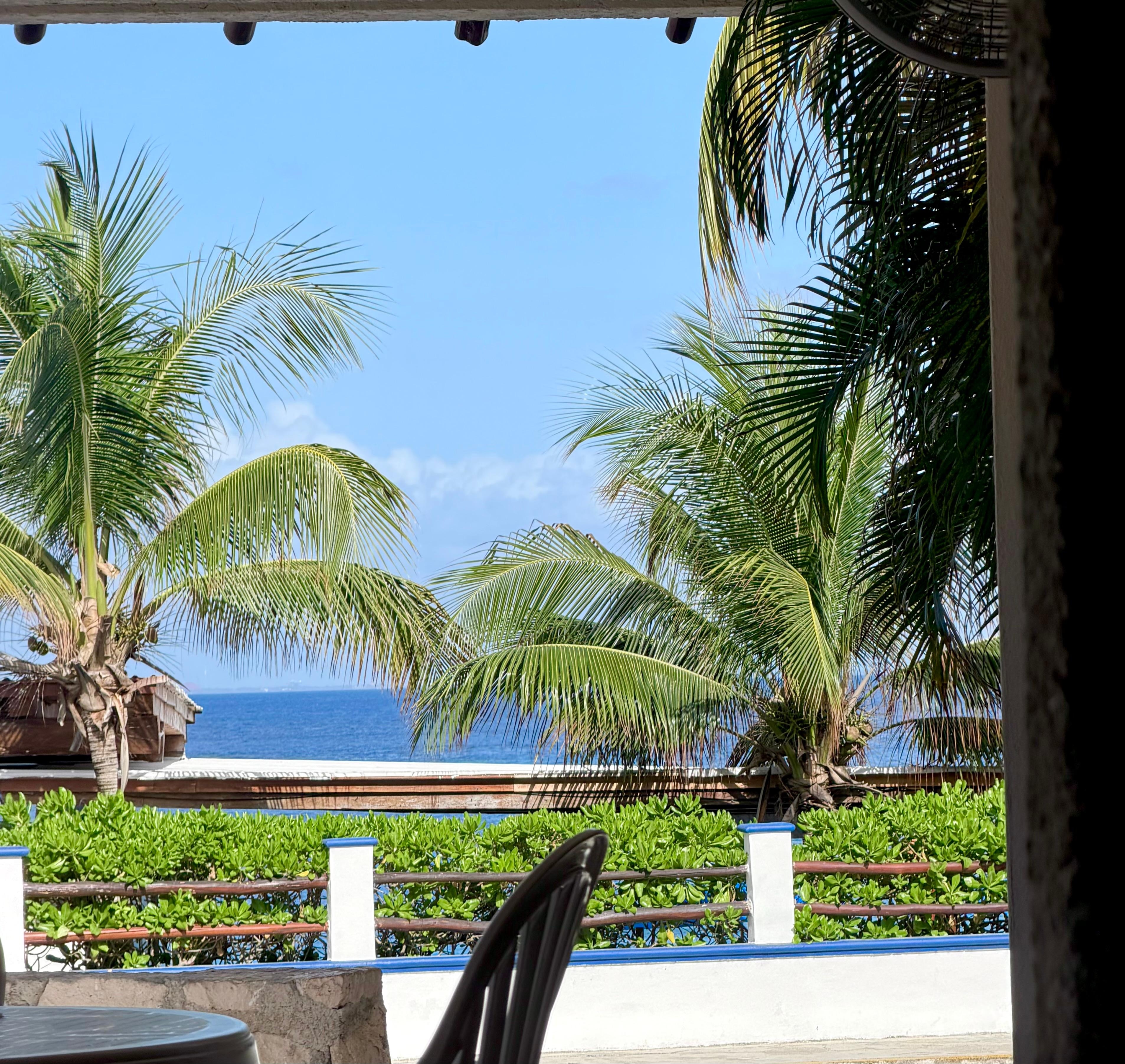 View from the restaurant facing the road. 