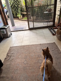 At the surf pad ready to head out