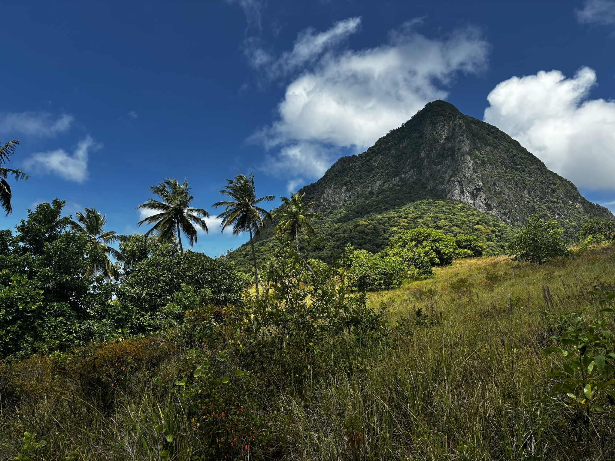 View of the gross piton from backyard