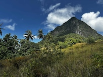 View of the gross piton from backyard