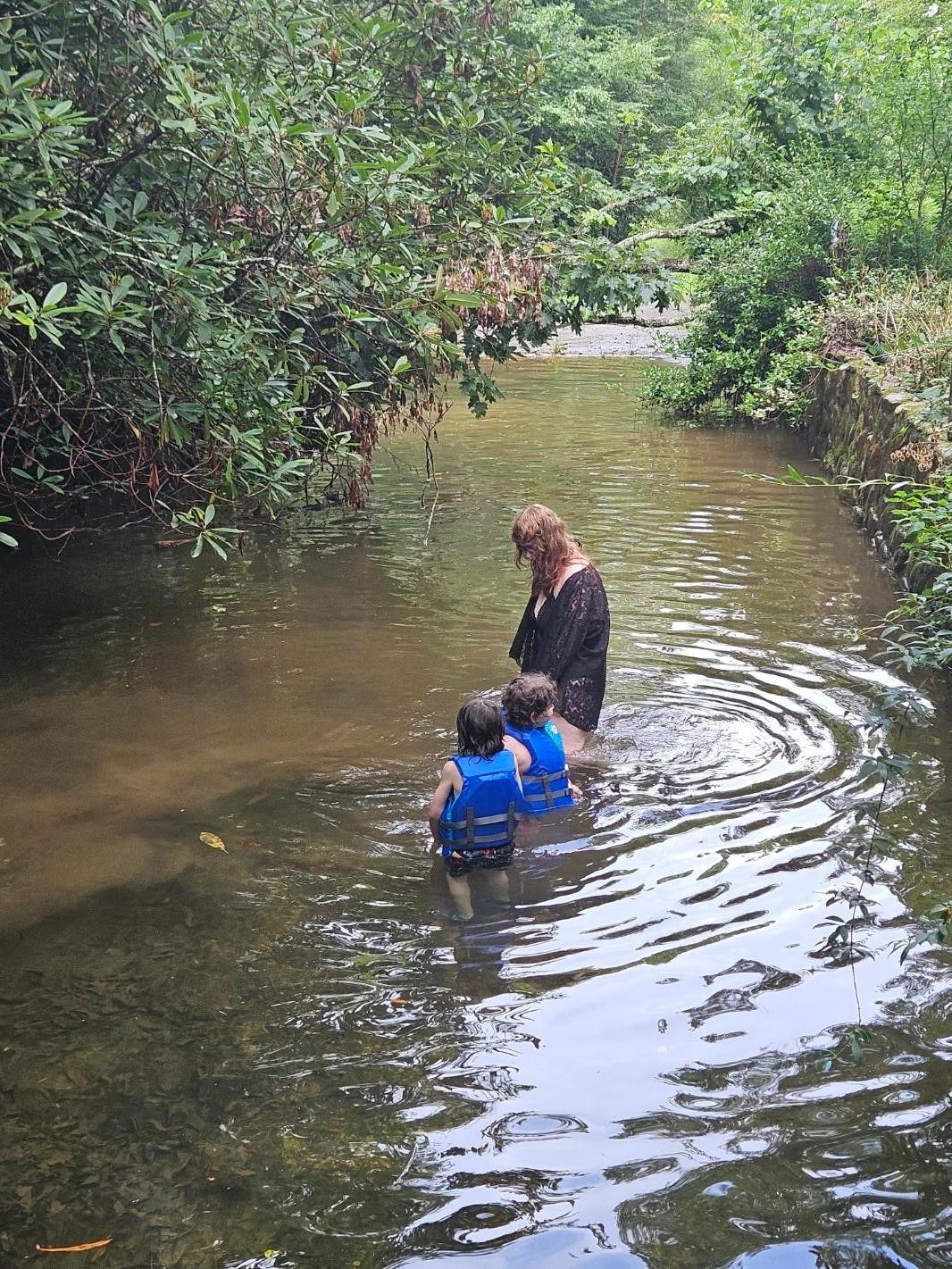 Our daughter and 2 of her sons watching minnows in the creek.