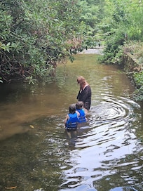 Our daughter and 2 of her sons watching minnows in the creek.