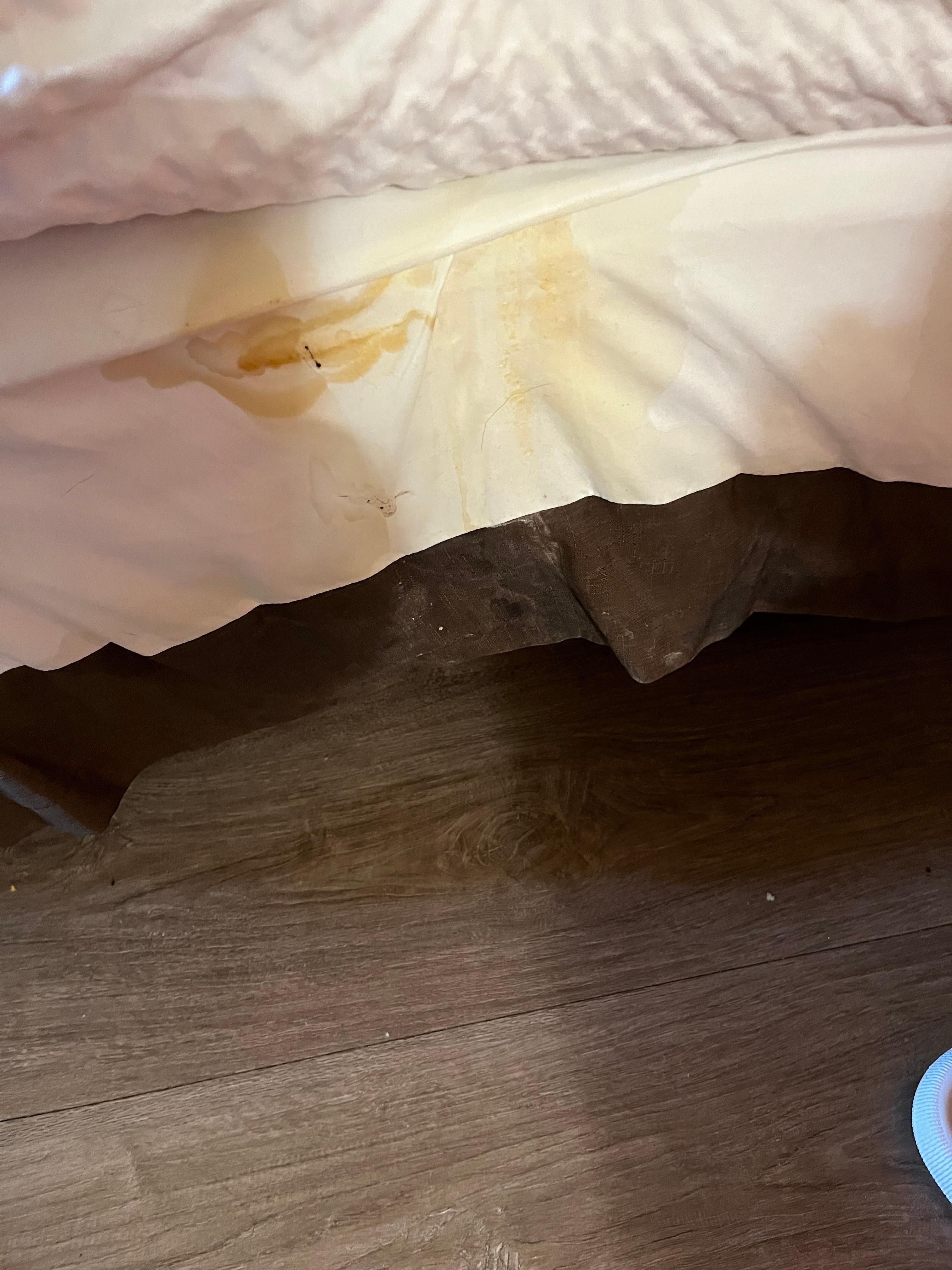 Dirty bedding 