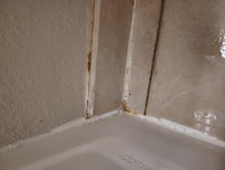 Mold