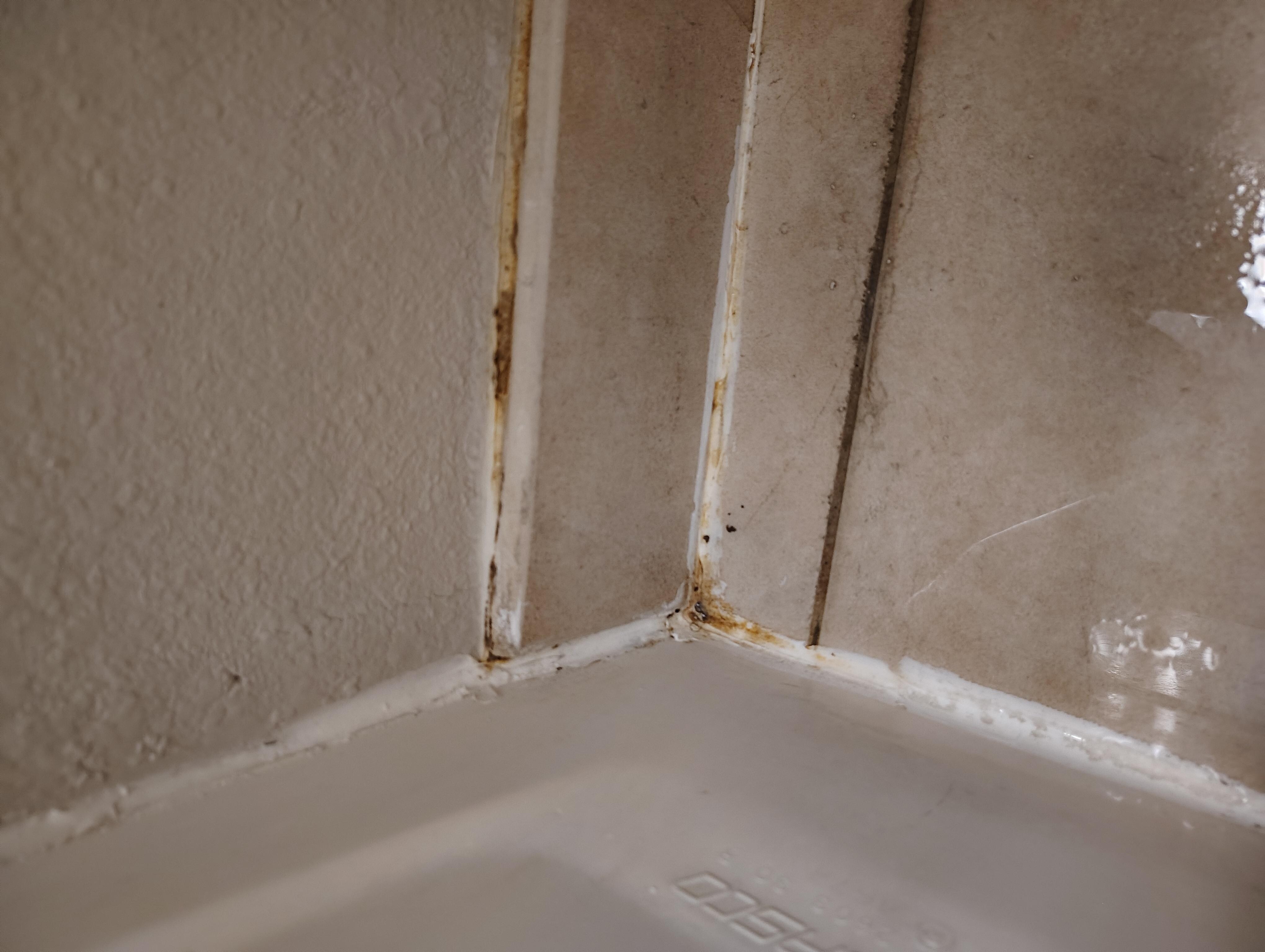 Mold