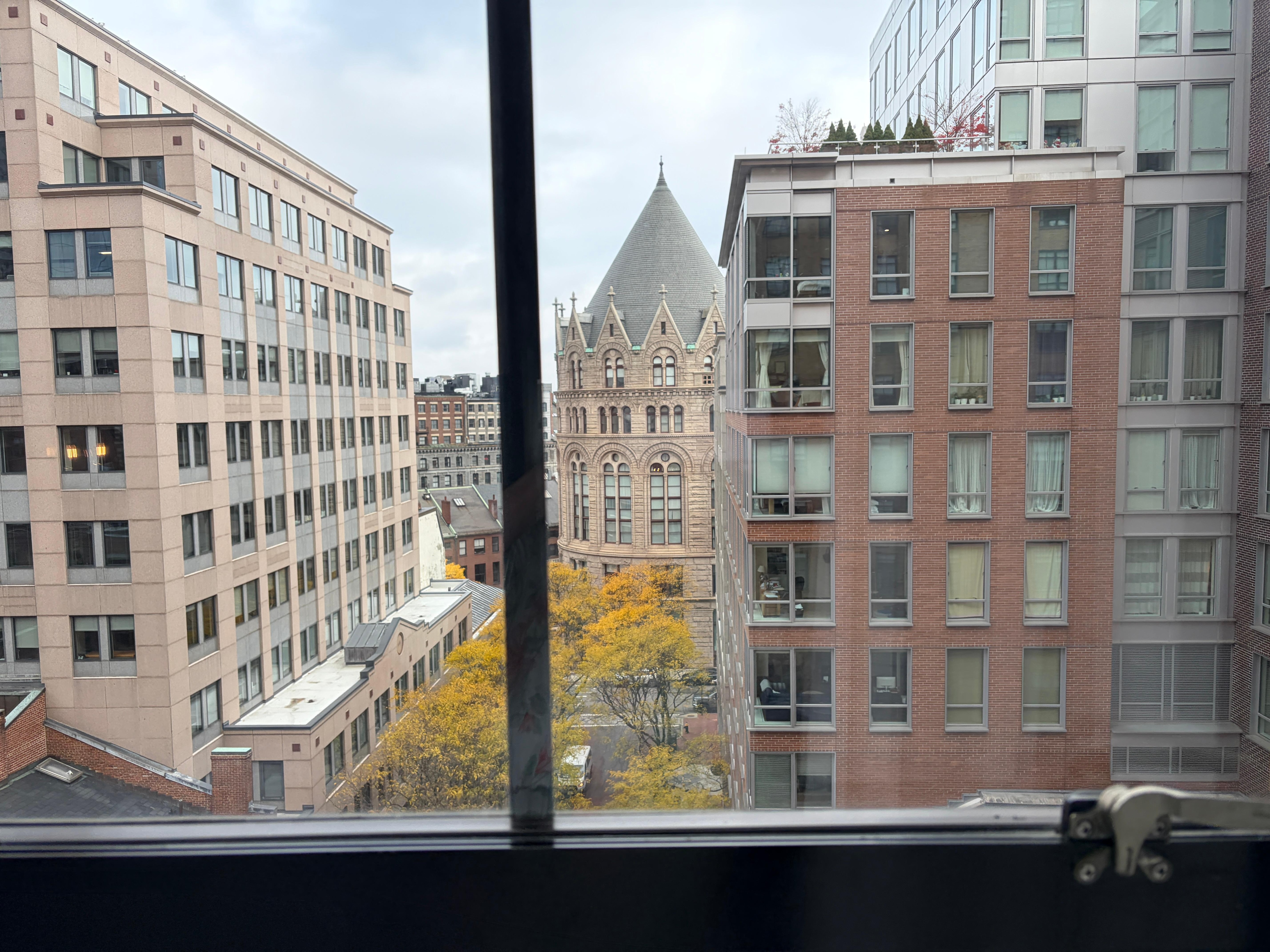 The view from my room 