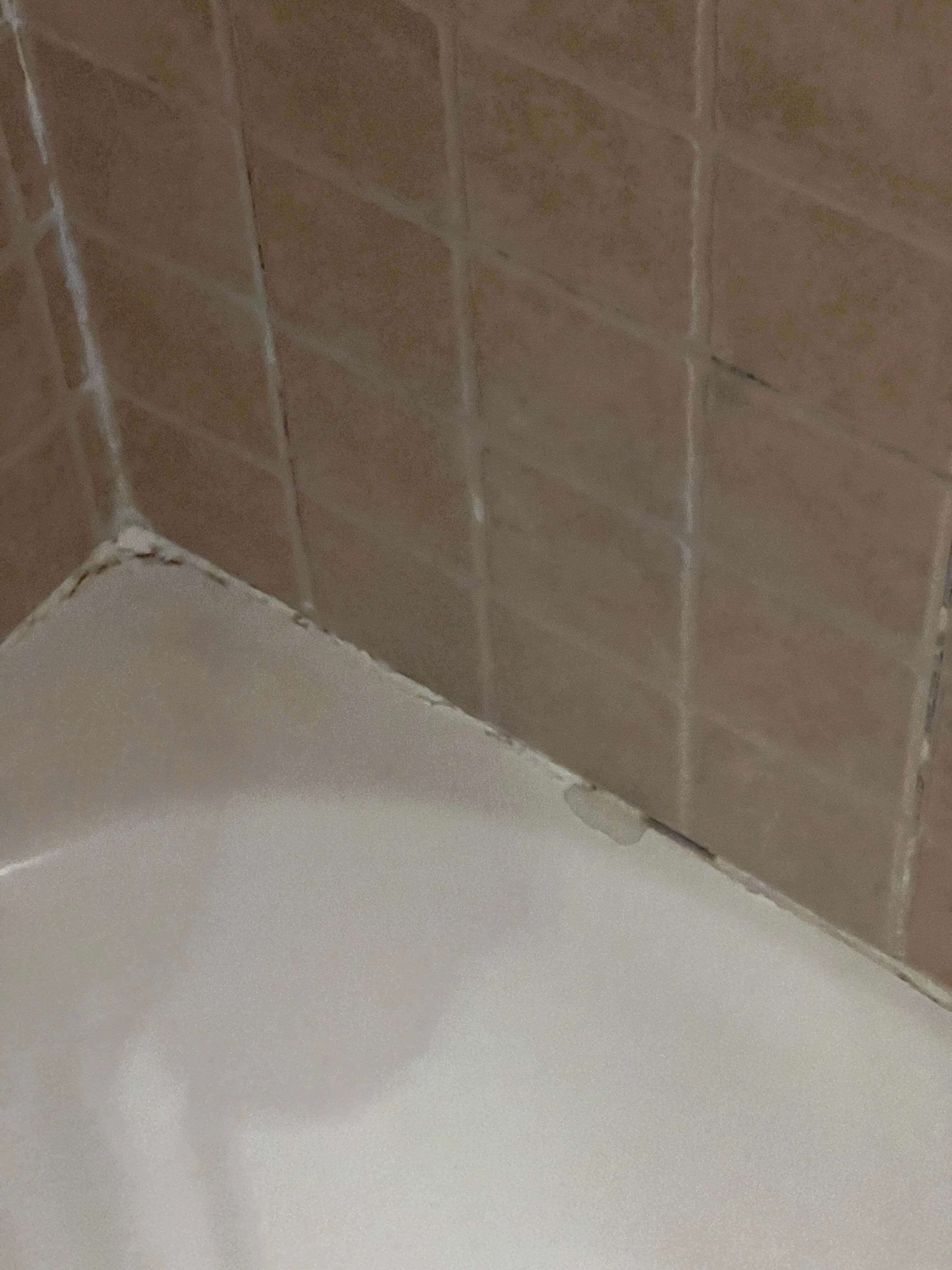 Bathroom in room 1310