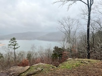 From the back porch! Breath taking!