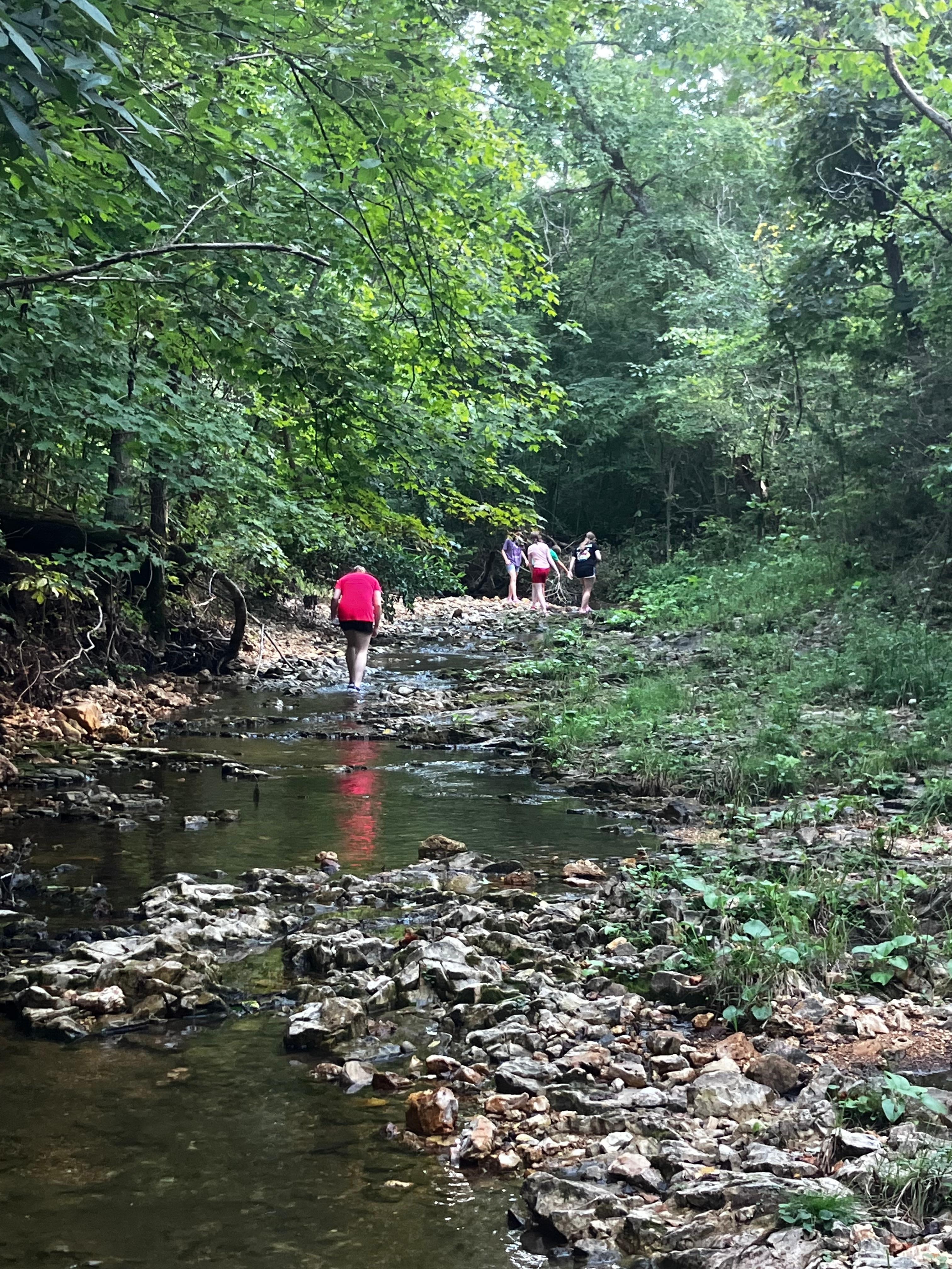Family time in the creek by the cottage. 