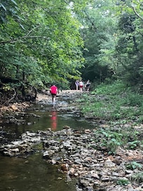 Family time in the creek by the cottage.