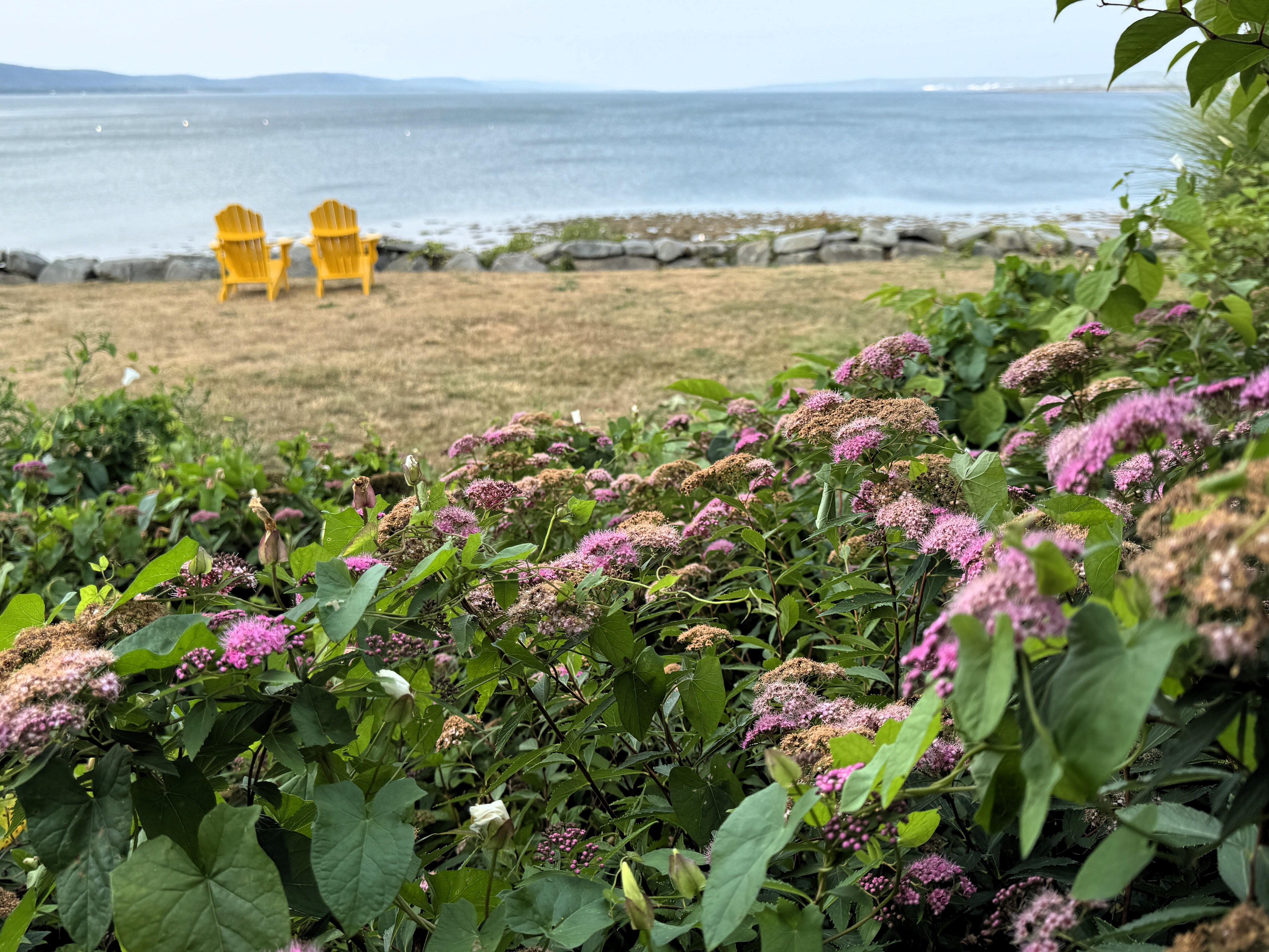 View from the Private Deck
