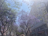 Trip to Loulé
