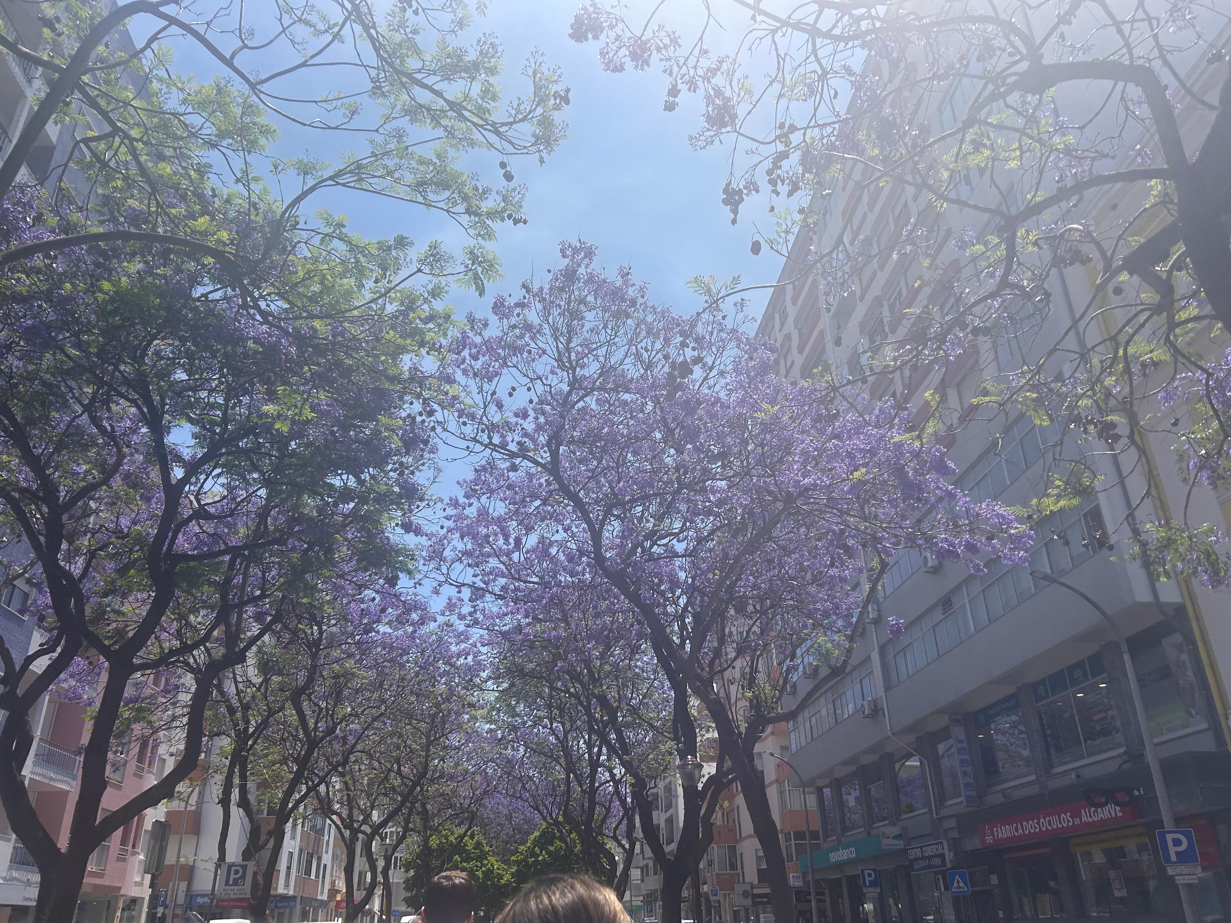 Trip to Loulé