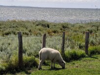 Natur pur