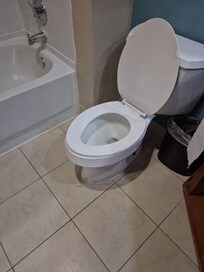 The toilet is the only thing to pit in mine that's its to short not standard size