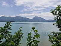 Der Foggensee
